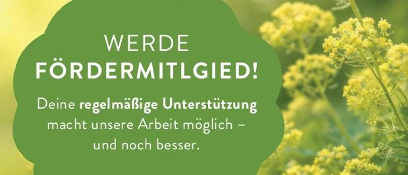 Frauenmantel e.V.