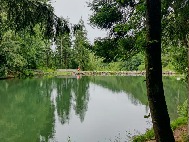 Blick auf Sohlbacher Weiher