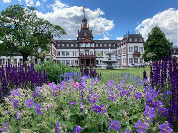 Schloss Philippsruhe Schloss mit Brunnen und Blumenbeet im Park
