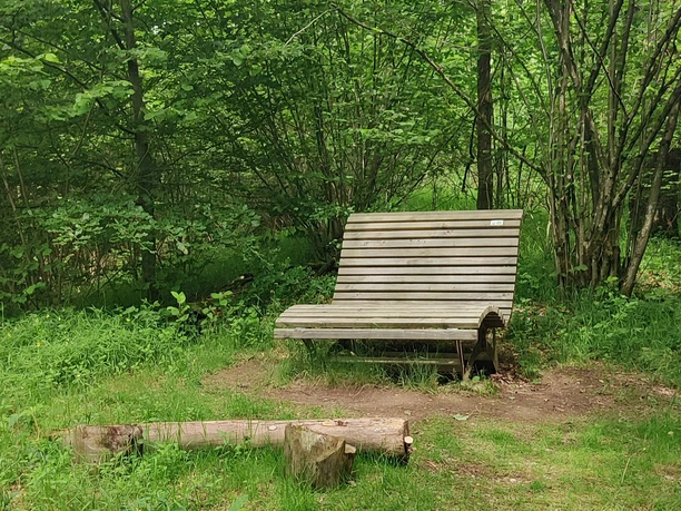 Schöne Bank mit Blick auf den Weiher