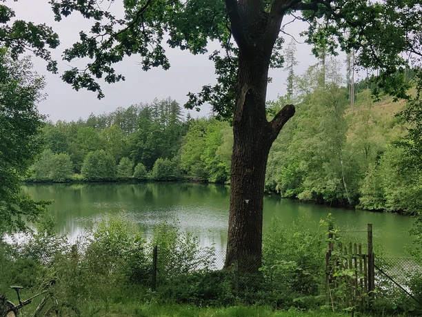 Blick auf den Afholderbacher Weiher