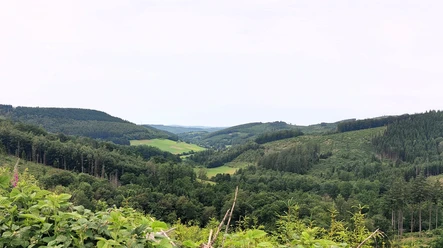 Herrlicher Weitblick