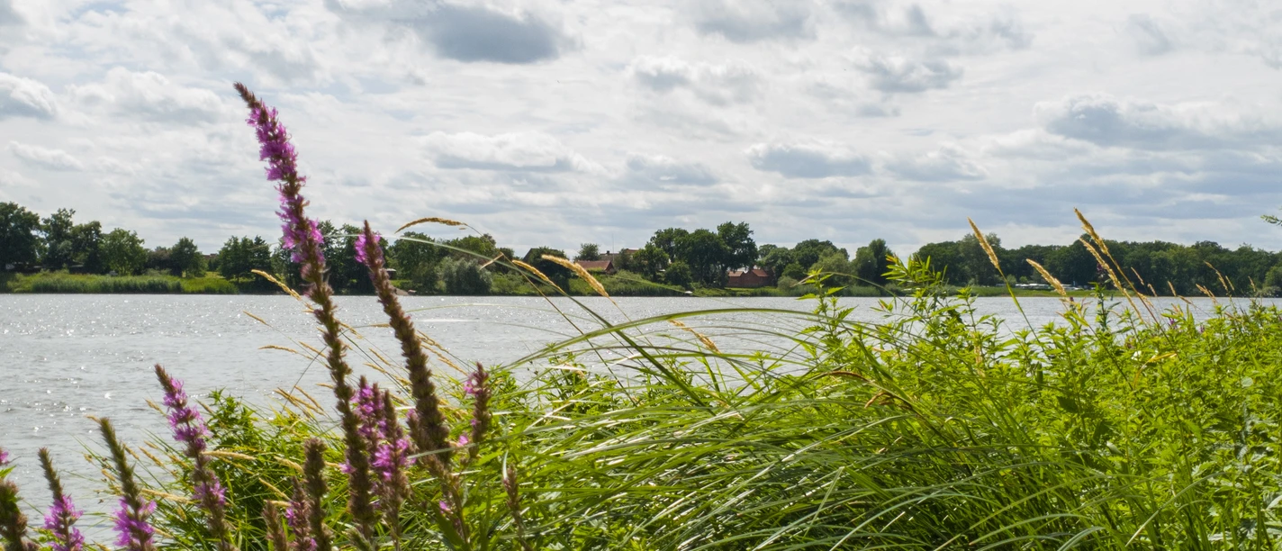 ©Dorothee Meyer (4).jpg Elbe