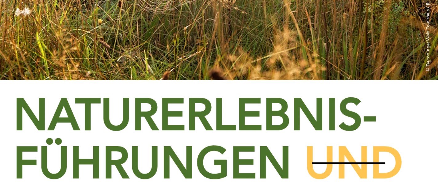 selected_csm_cropmiddle_Naturpark_Plakat_Stadtwald_809b1804c1.png