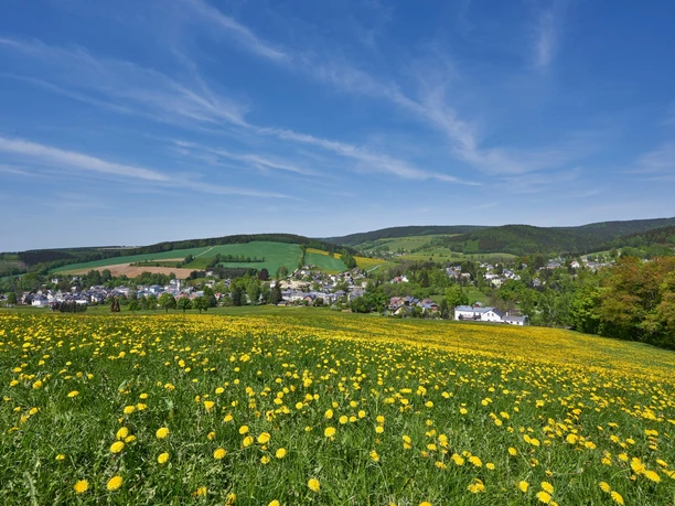 Sommerwiese mit Blick auf Erlbach