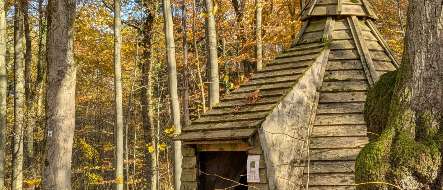 Köhlerhütte auf den VitalWegen im Herbst