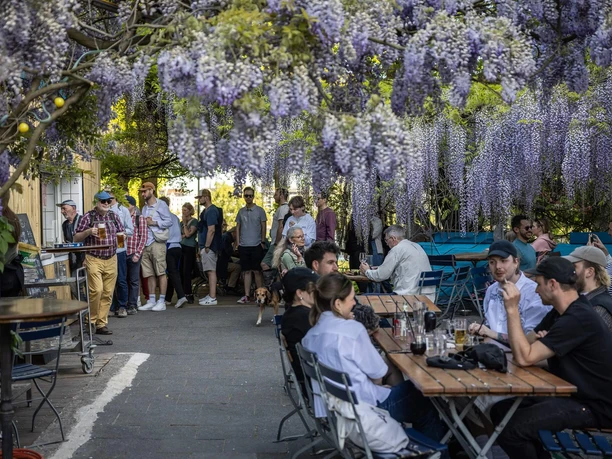 Schwimmbad Rhein-Sommergarten Menschen sitzen und stehen im Biergarten unter herabhängenden lila Blütentrauben