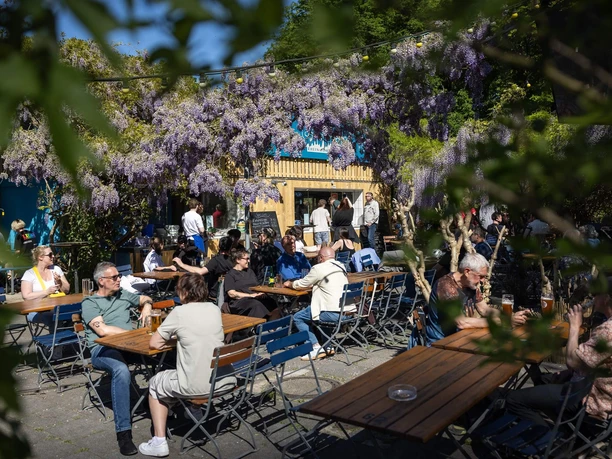 Schwimmbad Rhein-Sommergarten Menschen sitzen im sonnigen Biergarten unter blühendem Blauregen an Holztischen.