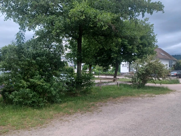 Stellfläche 1
