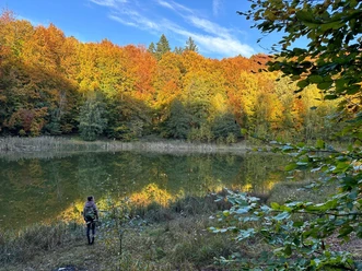 Wanderung am Baasee im Herbst Wanderung im Herbst am Baasee