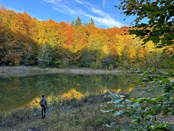 Wanderung am Baasee im Herbst Wanderung im Herbst am Baasee