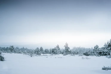 Nationalpark Schwarzwald im Winter