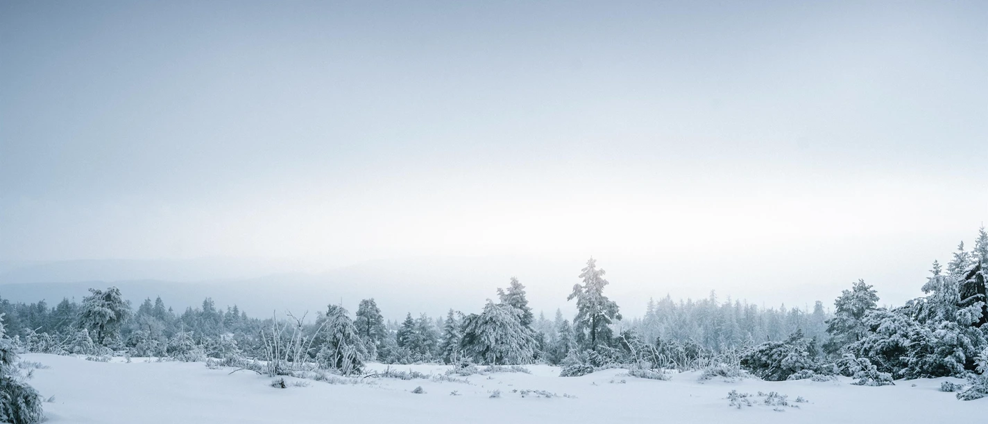 Nationalpark Schwarzwald im Winter