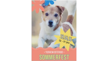 Tierheim Sommerfest