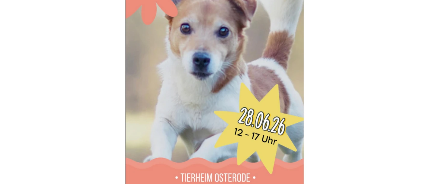 Tierheim Sommerfest