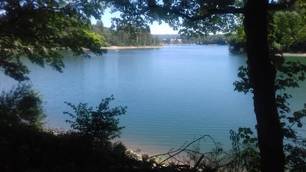 Hennesee