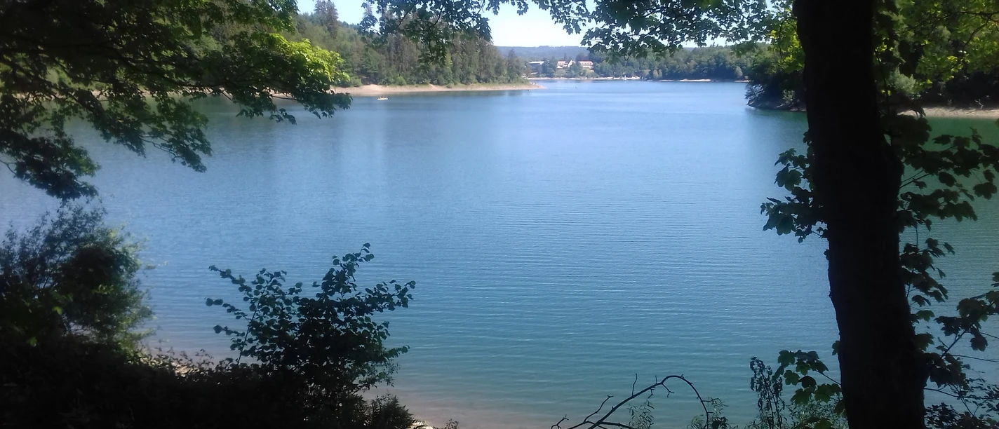 Hennesee