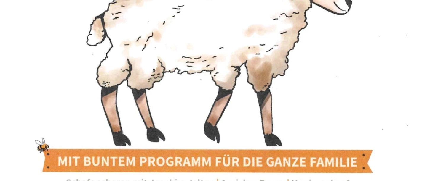 Schafsonntag.jpg