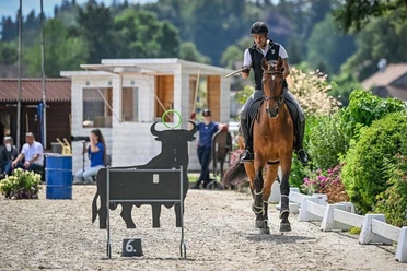 Working Equitation Turnier (3)