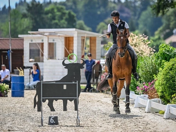 Working Equitation Turnier (3)