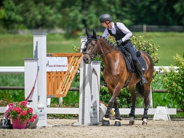 Working Equitation Turnier (1)