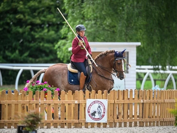 Working Equitation Turnier (2)
