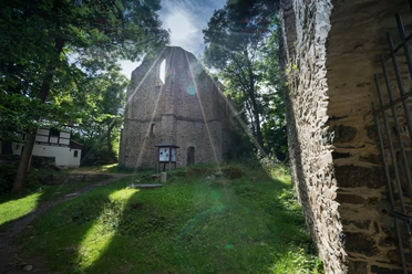 Burgstein Ruine