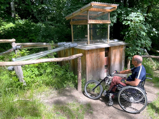In "Ameisenhausen" sieht man das emsige Treiben dieser kleinen Waldarbeiter