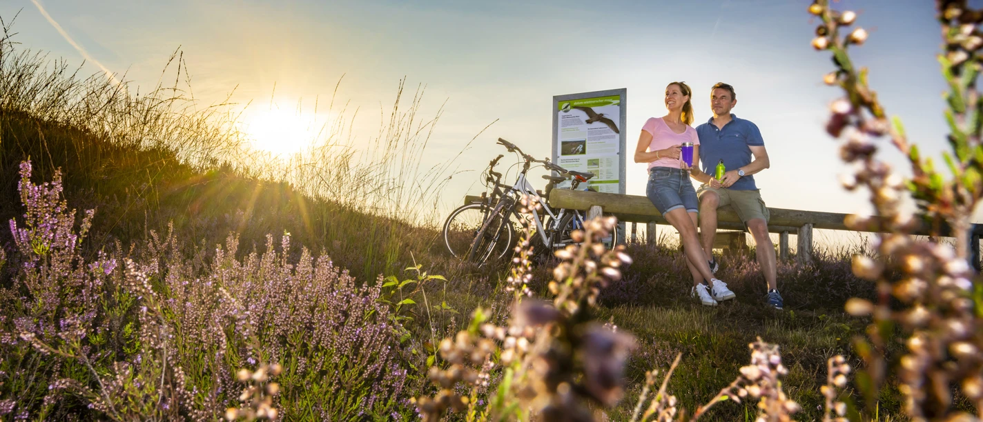 Heideblüte im Dalum-Wietmarscher Moor bei Geeste - Radfahren im Emsland ©Naturpark Moor-Veenland (13).jpg