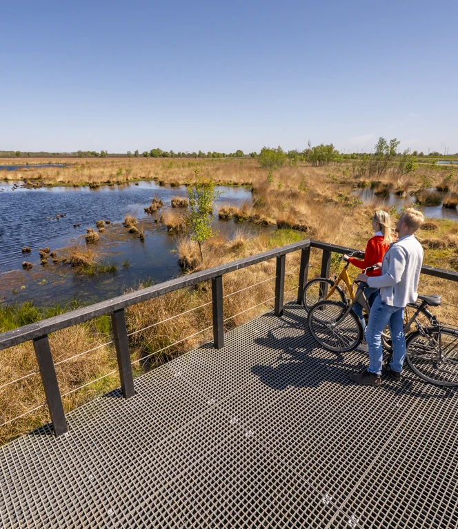 Radfahrer im Bargerveen - Aussichtsplattform 2 ©Naturpark Bourtanger Moor.jpg