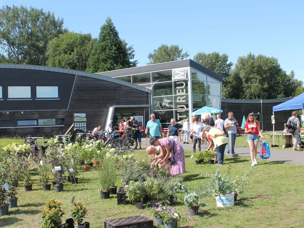 gartenmagie_24_2.jpg