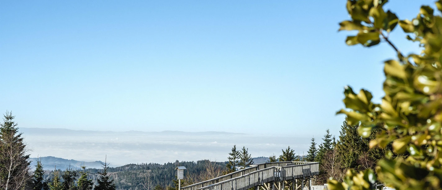 Winter im Nationalpark Schwarzwald