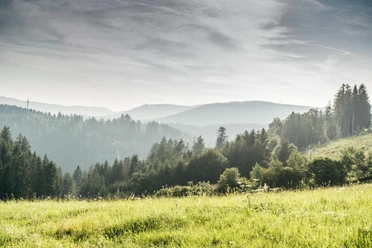 Nationalpark Schwarzwald