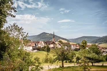 Ortsansicht Baiersbronn im Sommer