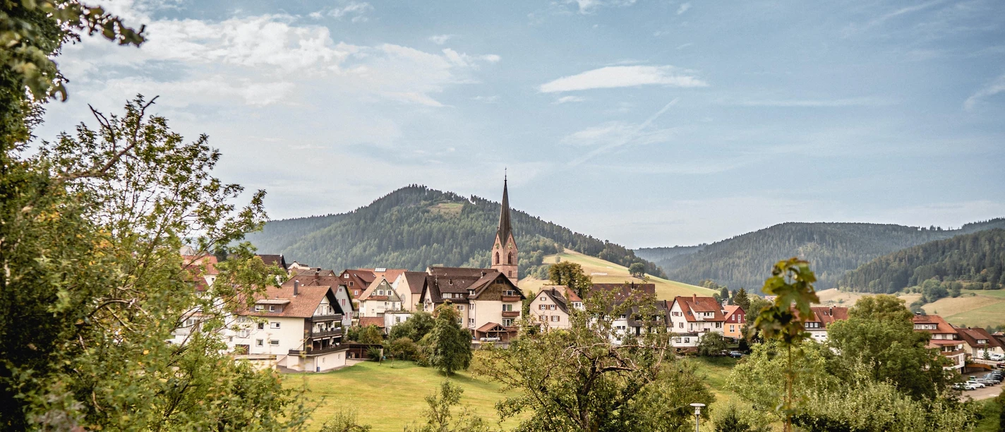 Ortsansicht Baiersbronn im Sommer