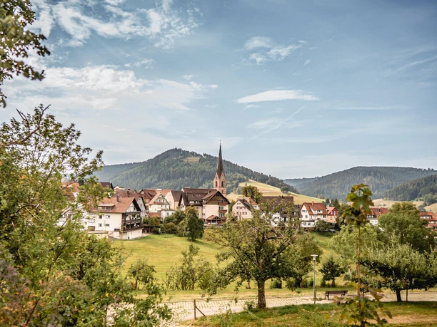 Ortsansicht Baiersbronn im Sommer