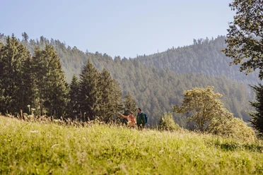 Wandern im Schwarzwald