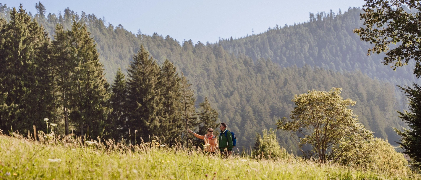 Wandern im Schwarzwald