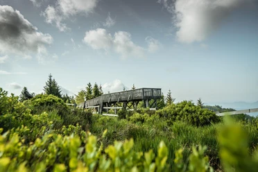 Aussichtsplattform im Nationalpark Schwarzwald