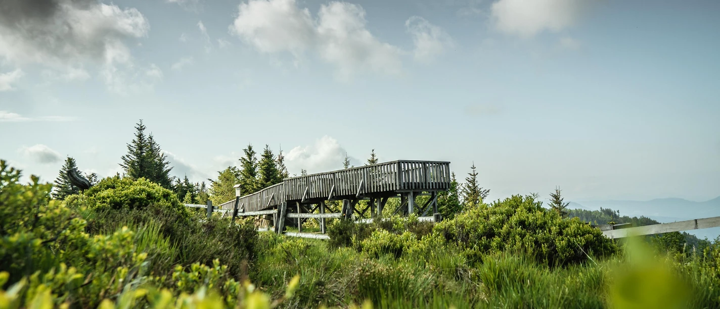 Aussichtsplattform im Nationalpark Schwarzwald