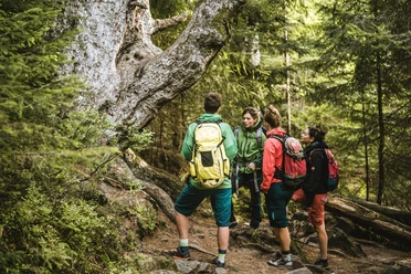 Nationalpark Schwarzwald