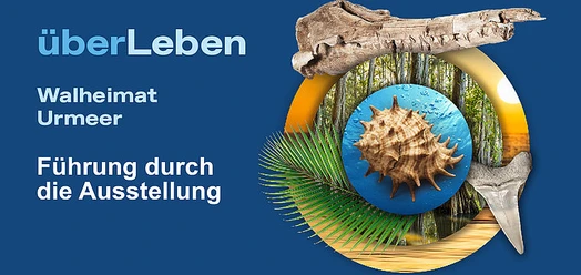 Ausstellungsgrafik „Walheimat Urmeer“ mit Muschel, Fossilien, Wald und Palmblatt