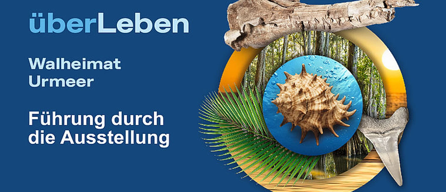 selected_selected_selected_selected_csm_cropmiddle_PALA_3-4_Fuehrung_db3ec93d77_01.jpg