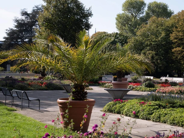 PARK Café Köln Blühender Parkgarten mit Palmen in Kübeln, Sitzbänken und Wegen am PARK Café in Köln