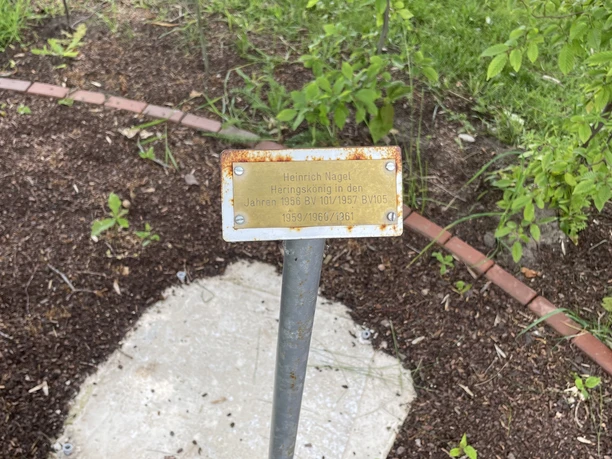 Plakette auf einem Pfosten in einer Grünanlage ehrt den Heringskönig Heinrich Nagel.