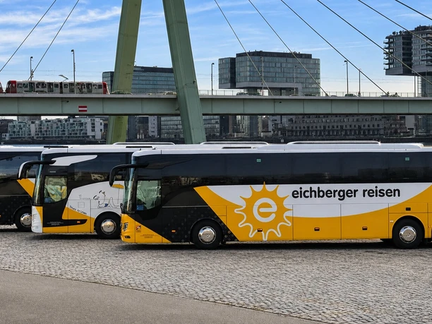 Drei Busse am Rheinufer Drei gelb-schwarze Reisebusse mit der Aufschrift „Eichberger Reisen“ stehen nebeneinander auf einem gepflasterten Platz. Im Hintergrund sind moderne Gebäude sowie eine Brücke zu sehen.