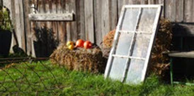 Hartmannshof-Café Hartmannshof-CaféHartmannshof CaféHartmannshof CaféCafé Hartmannshof