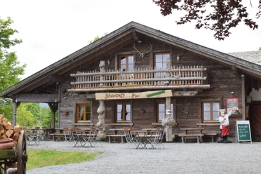 steinberg_alm2