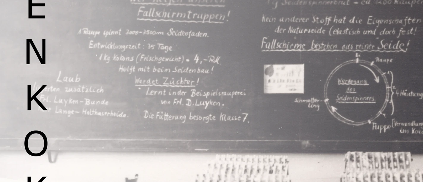 Seidenkokon in ostfriesischen Klassenzimmern_1.png