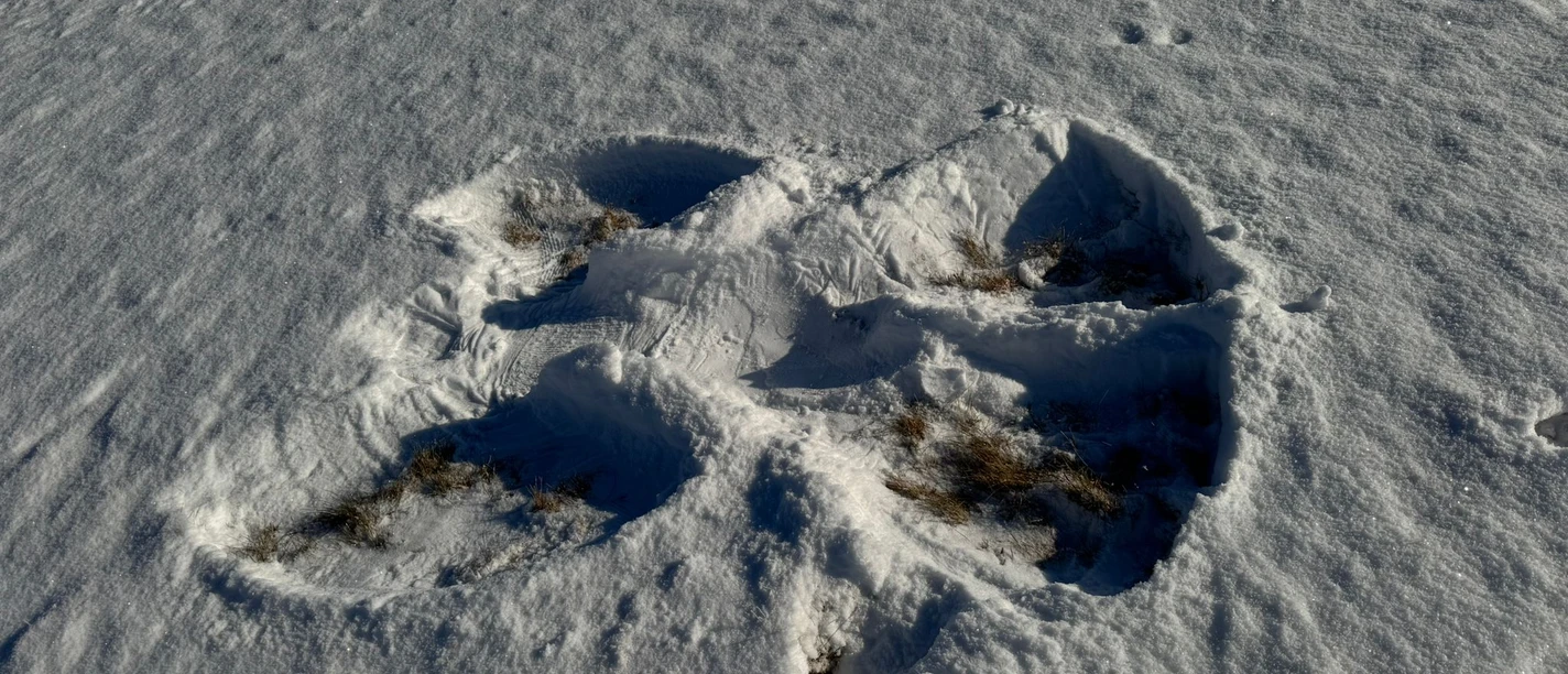 Schneeengel_MK.jpg